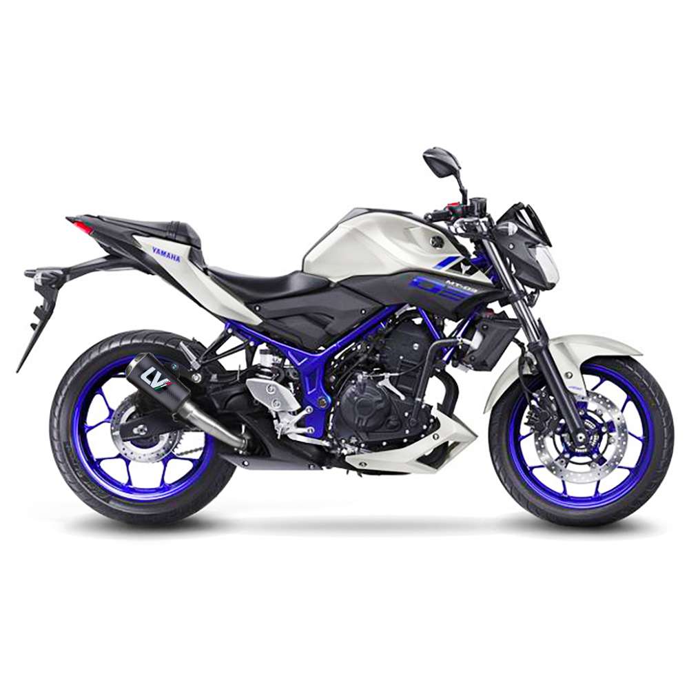 LEOVINCE 10 CARBON FIBER SLIP-ON MT-03/YZF-R3