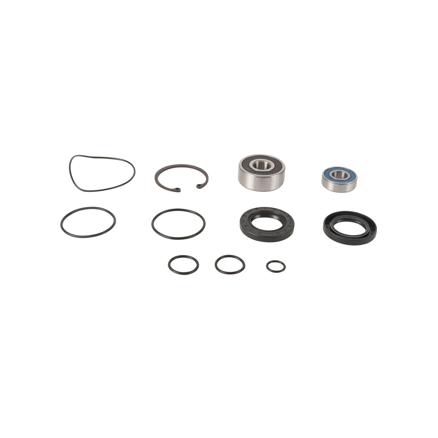 All Balls Racing Jet Pump Rebuild Kit (14-3007)