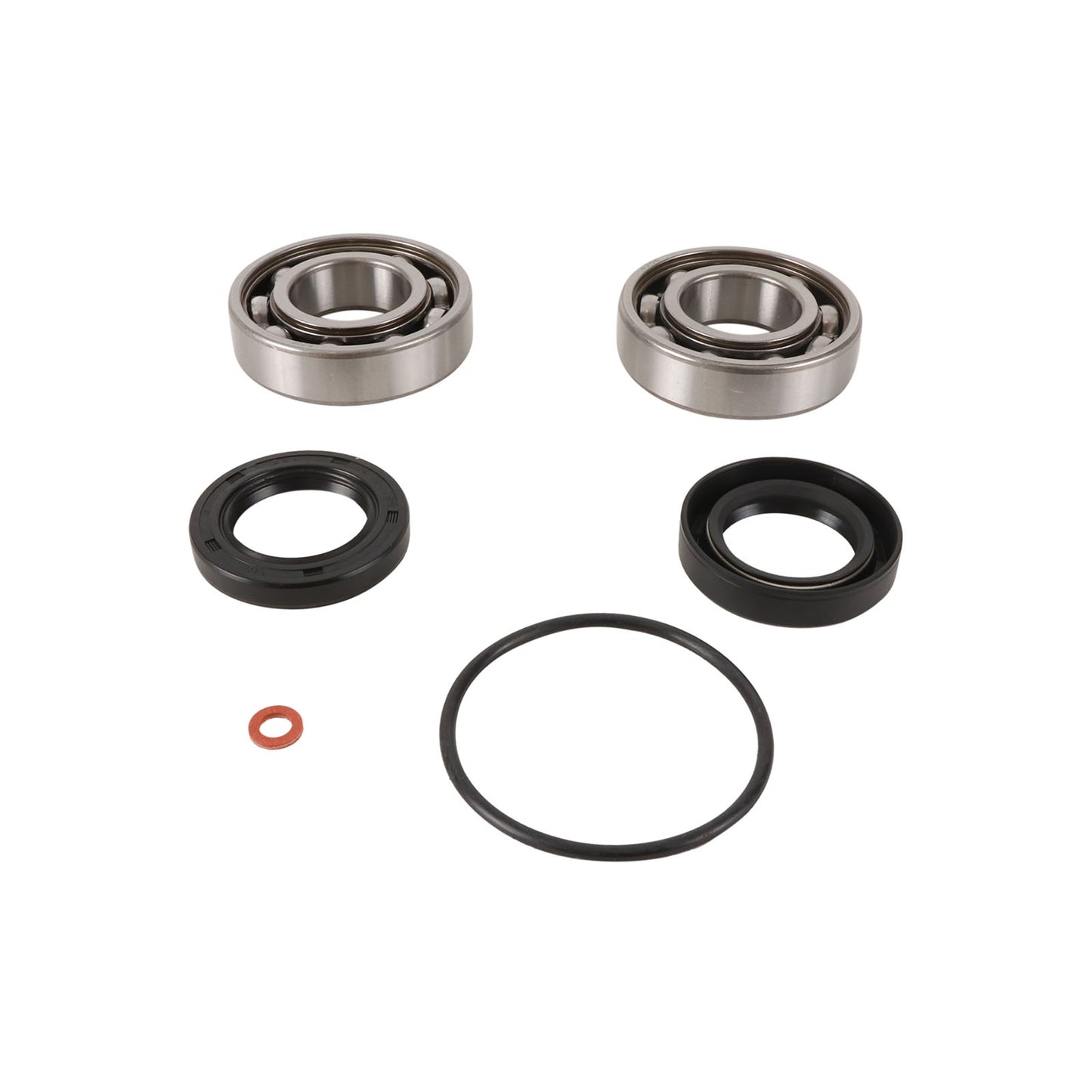 All Balls Racing Jet Pump Rebuild Kit (14-3029)