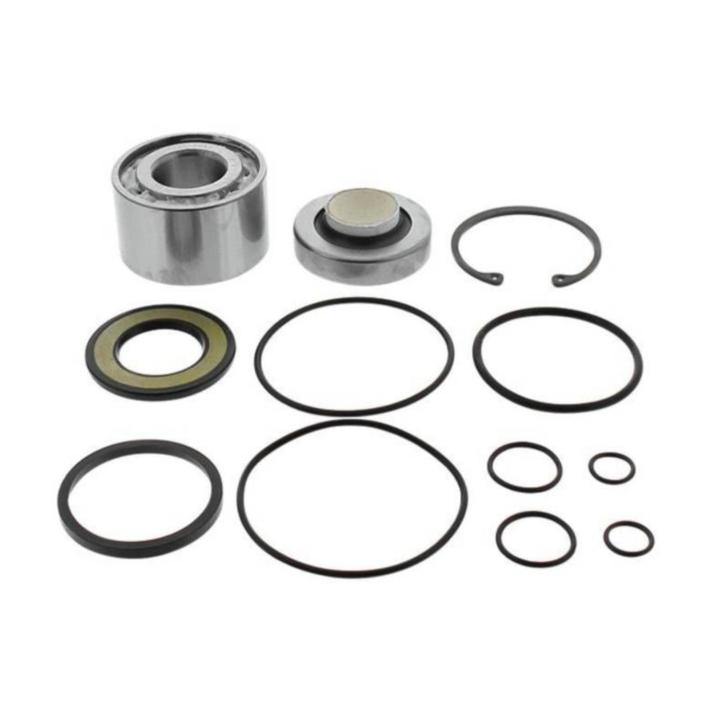 All Balls Racing Jet Pump Rebuild Kit (14-3045)