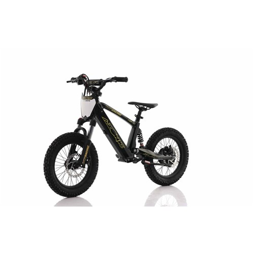 AZONIC FLOW 16 - 24V / 5AH / 350W E-BALANCE BIKE - BLACK