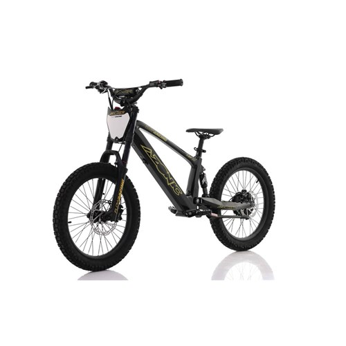 AZONIC FLOW 20 - 36V 7.2AH / 750W E-BALANCE BIKE - BLACK