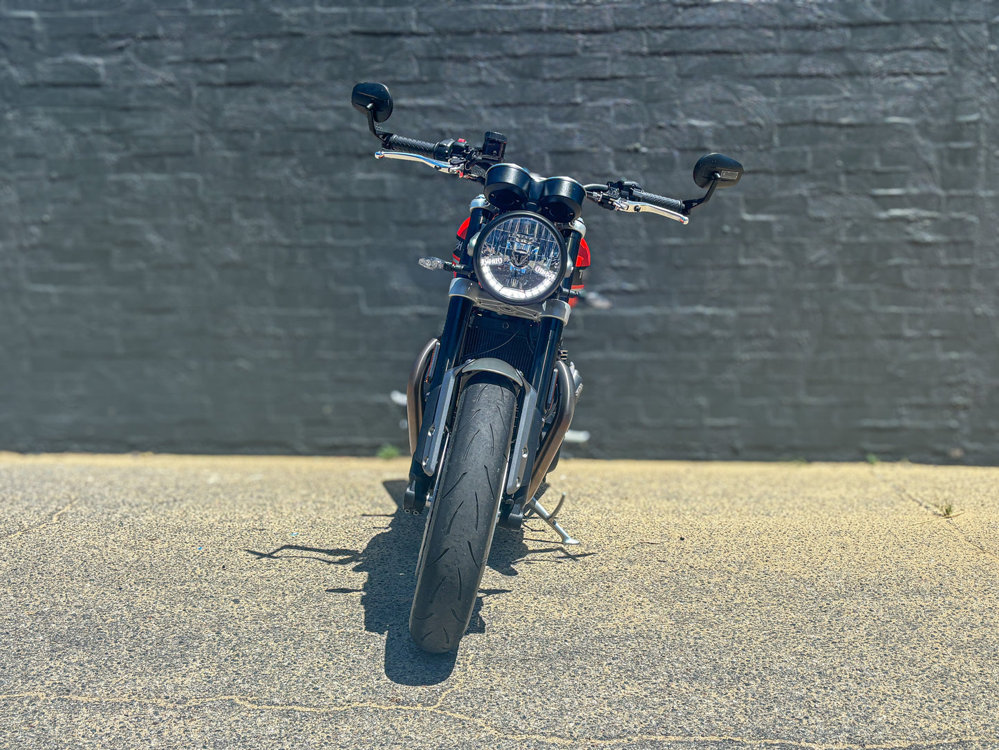 DEALER DEMO 2024 TRIUMPH SPEED TWIN 1200 $21,990* Excl Gov Charges