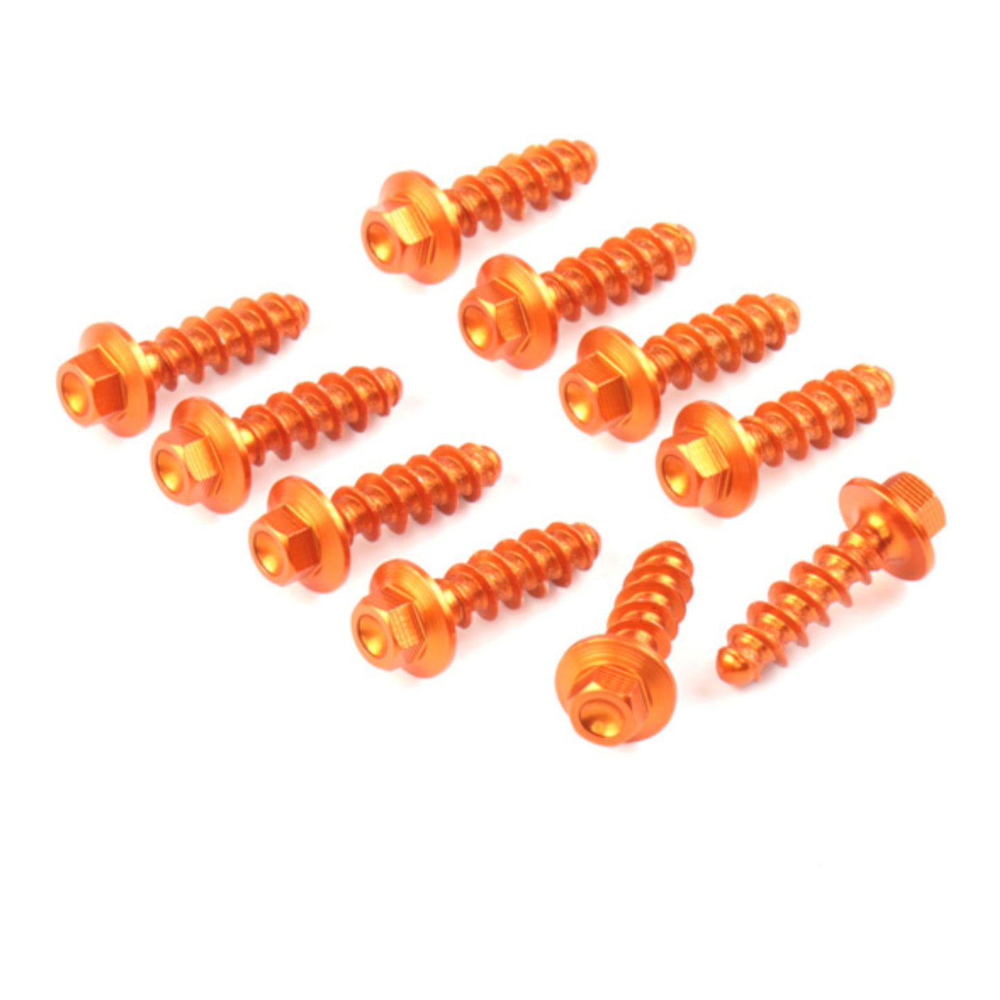 Zeta Aluminium Plastic Tapping Screw Set (10 Piece)