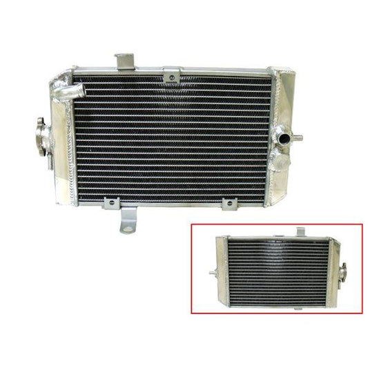 PSYCHIC RADIATORS- Raptor 660 BIKES & BITS IMPORTERS sold by Cully's Yamaha