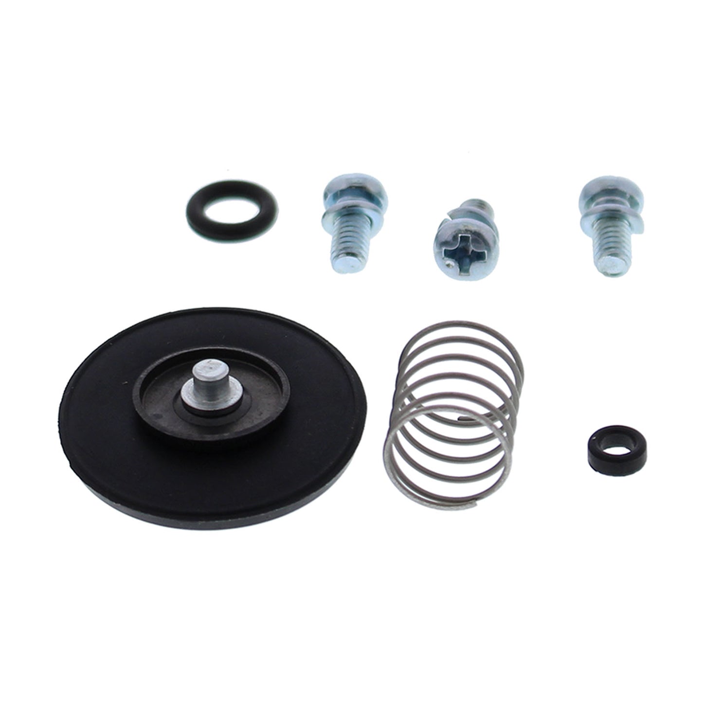 All Balls Racing Accelerator Pump Rebuild Kit (46-3003)