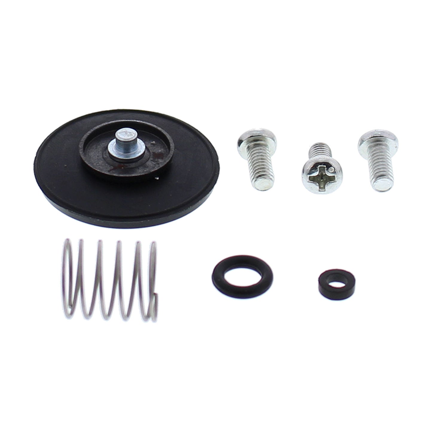 All Balls Racing Accelerator Pump Rebuild Kit (46-3005)