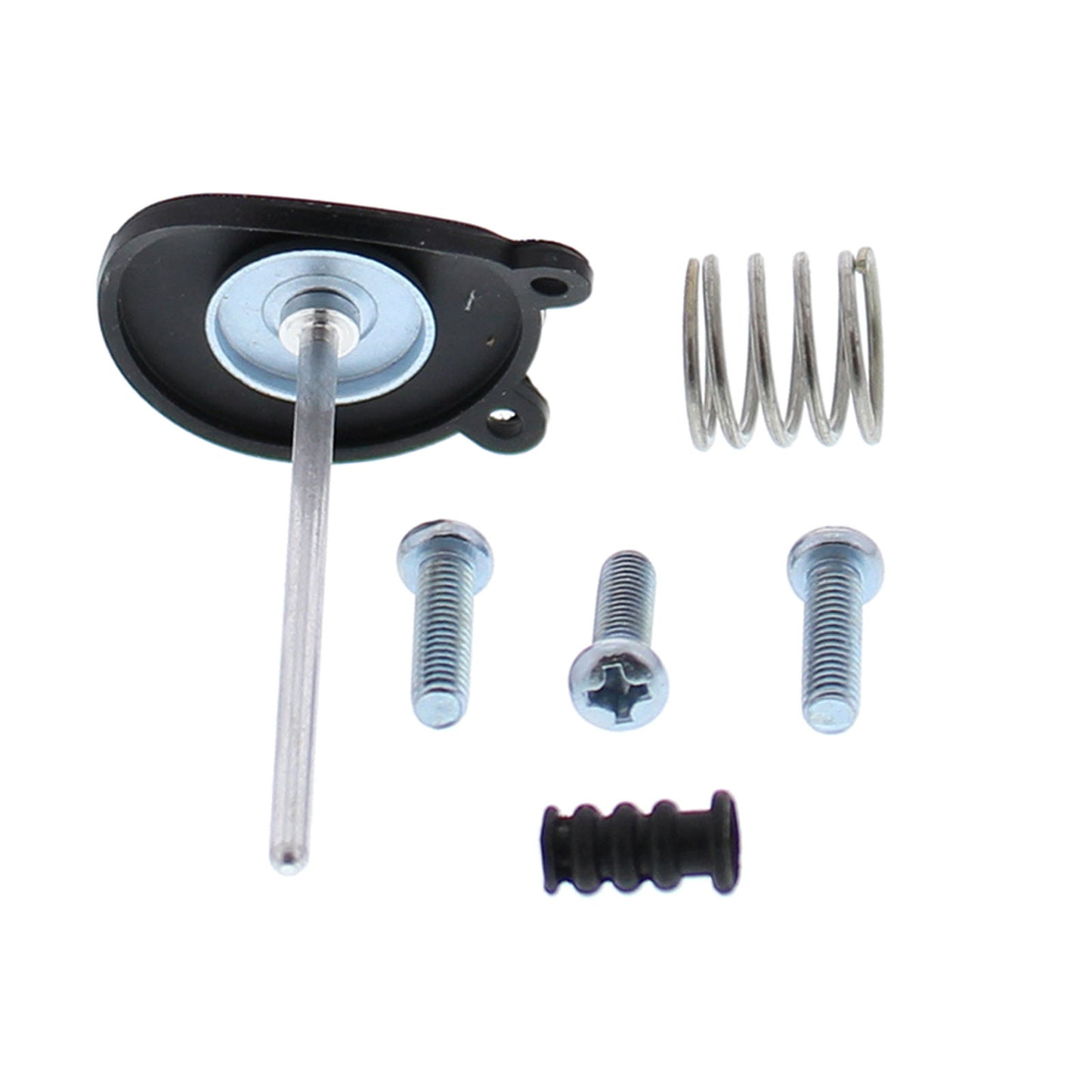 Accelerator Pump Rebuild Kit 46-3010