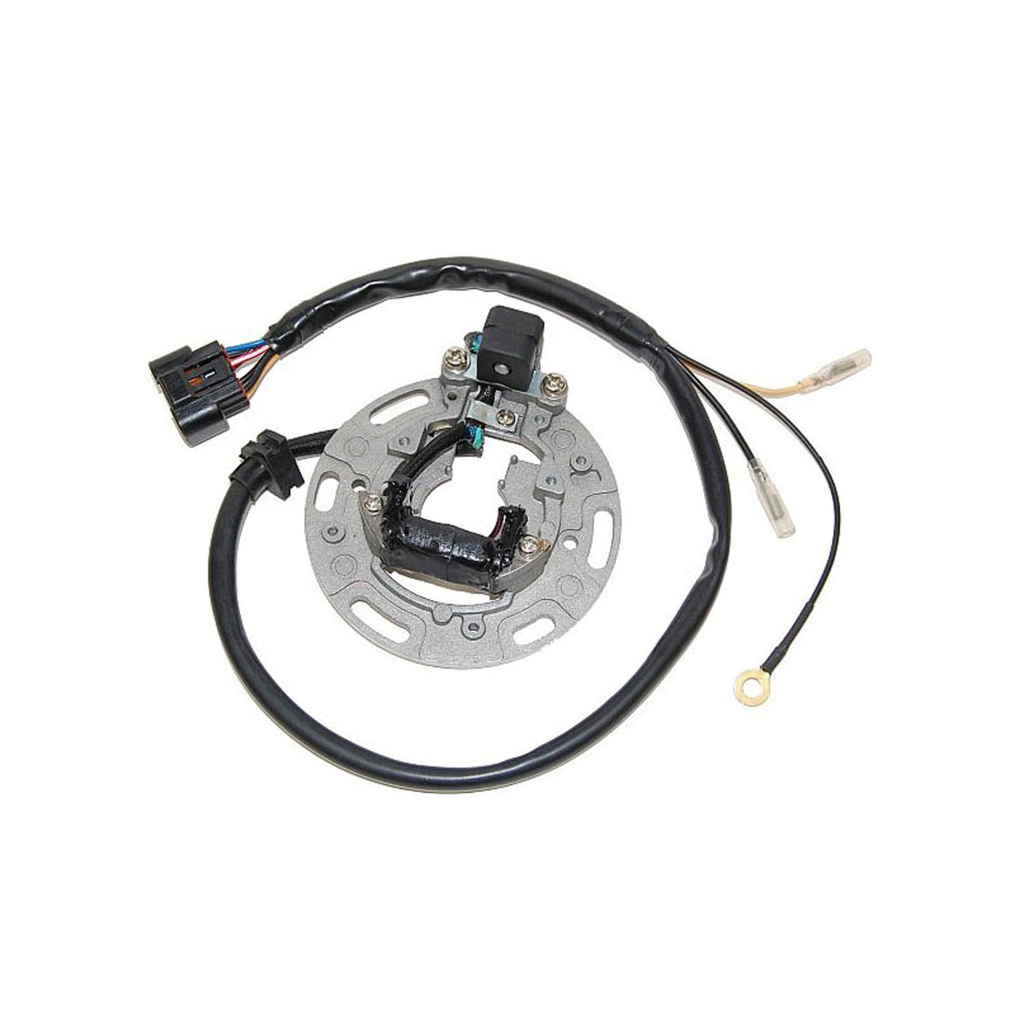 STATOR KX85 / KX100 (01-05)