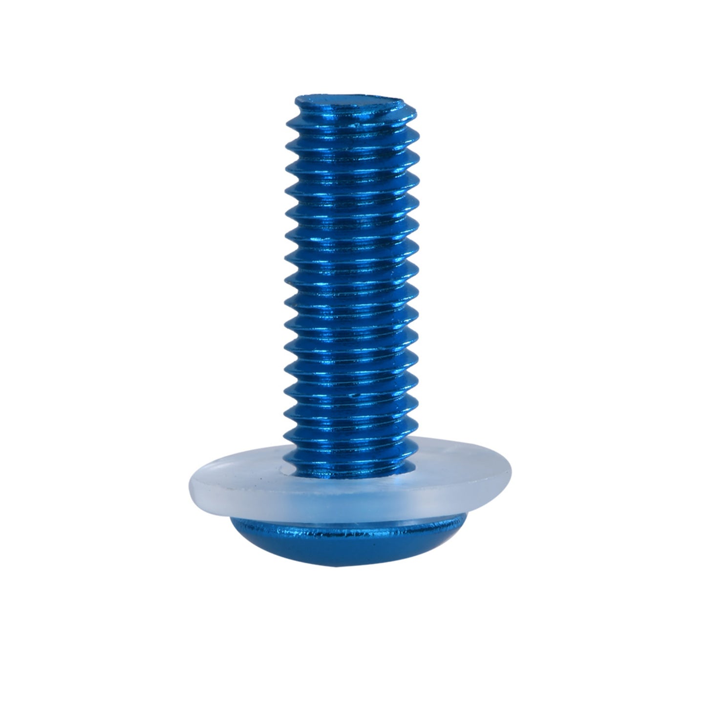 Oxford Screen Screw - Blue