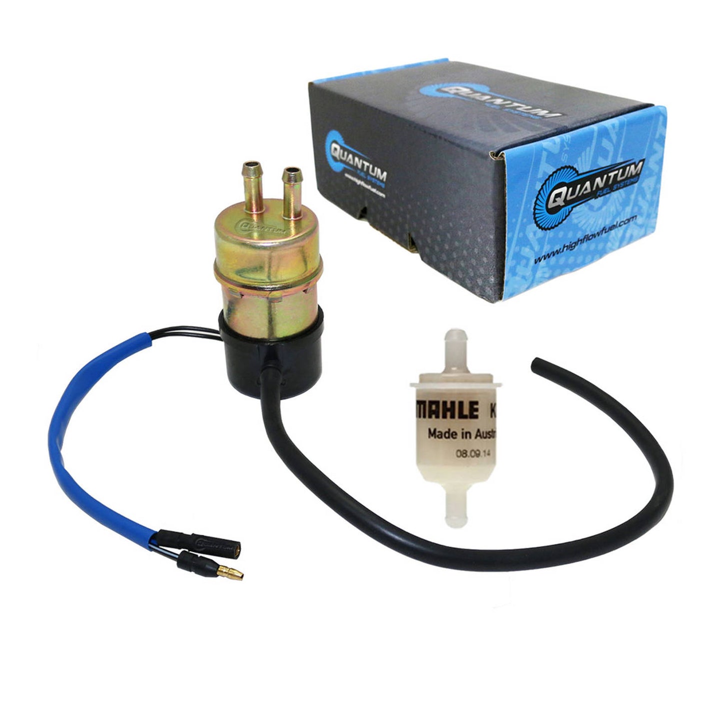 Quantum Frame-Mounted Electric Fuel Pump with Filter