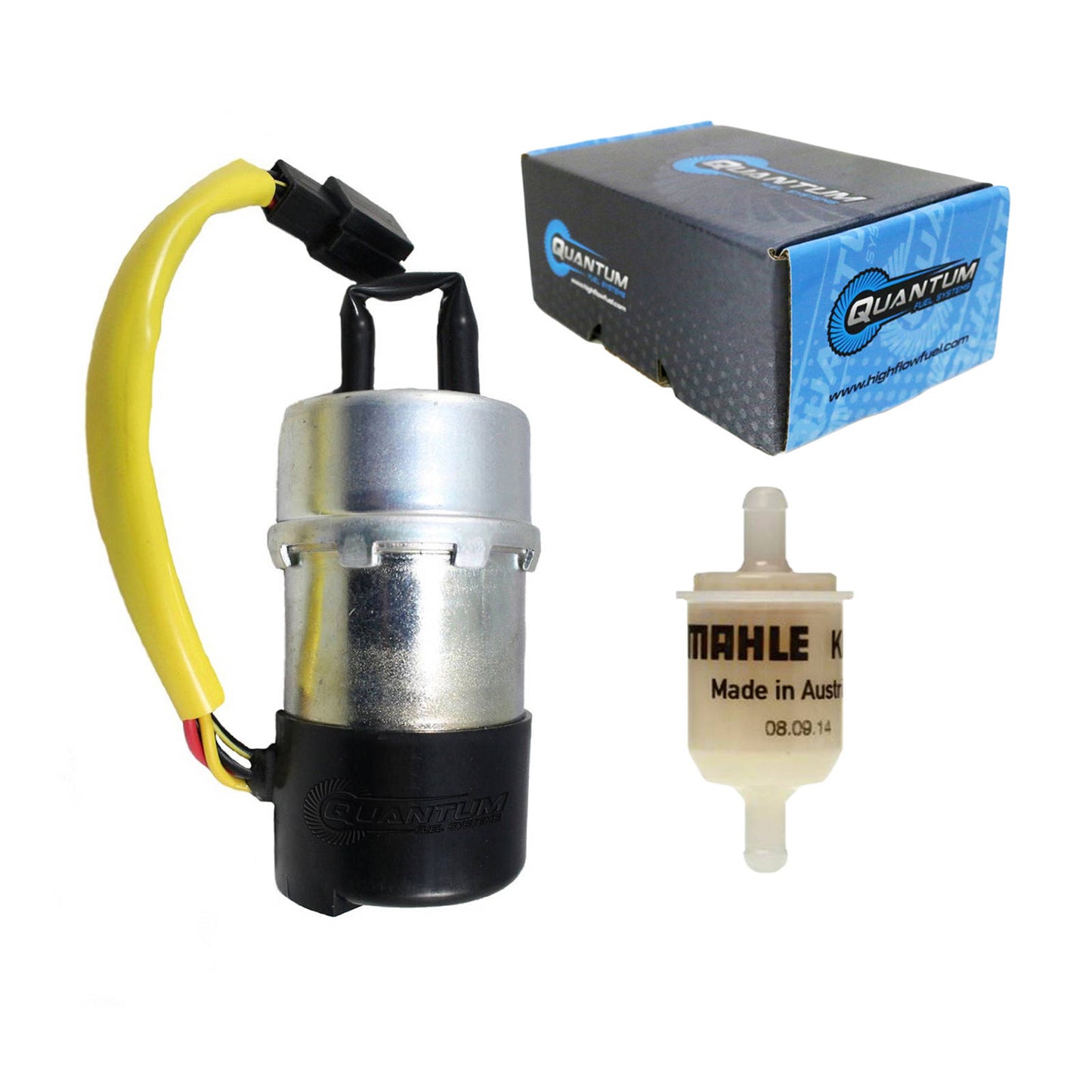 Quantum Frame-Mounted Electric Fuel Pump with Filter
