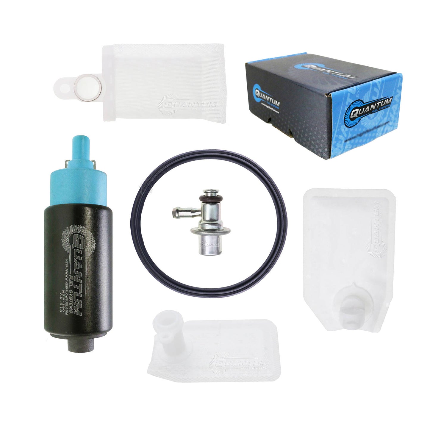 Quantum In-tank EFI Fuel Pump with Regulator, Tank Seal