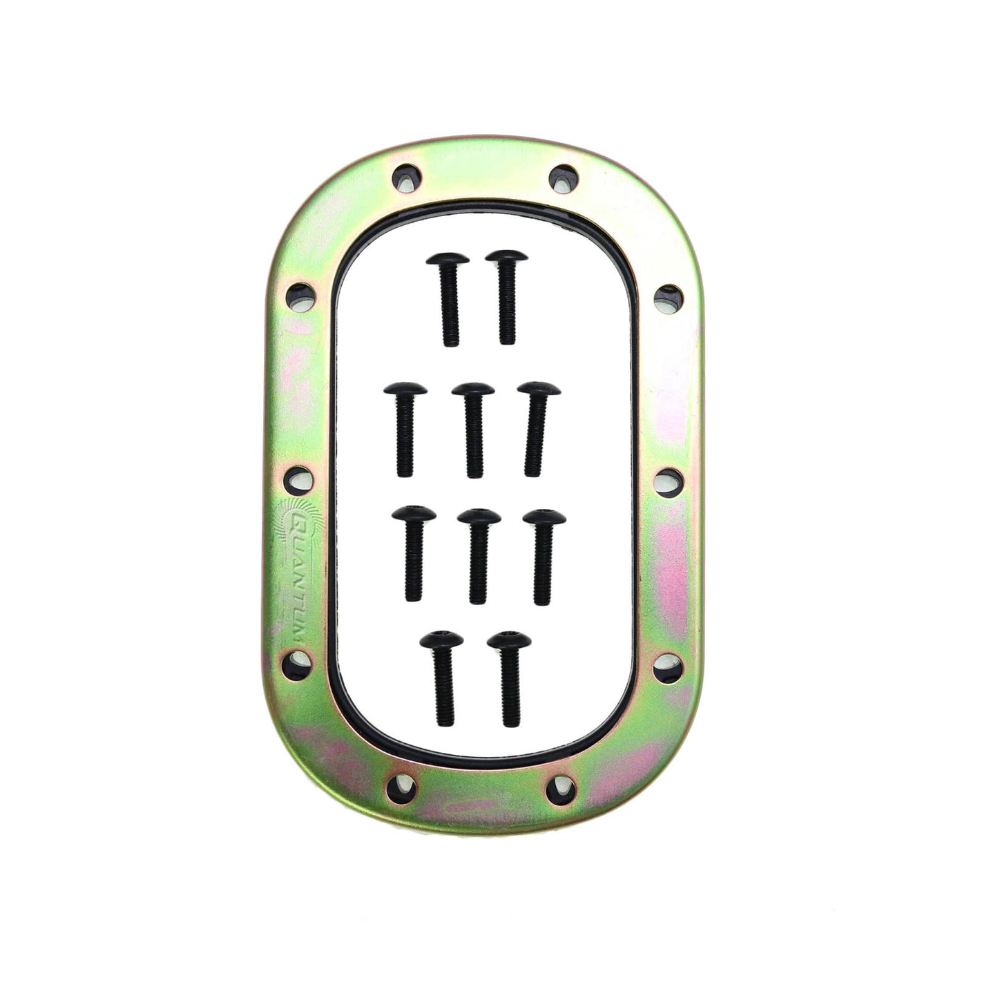 Quantum Fuel Pump Seal Gasket