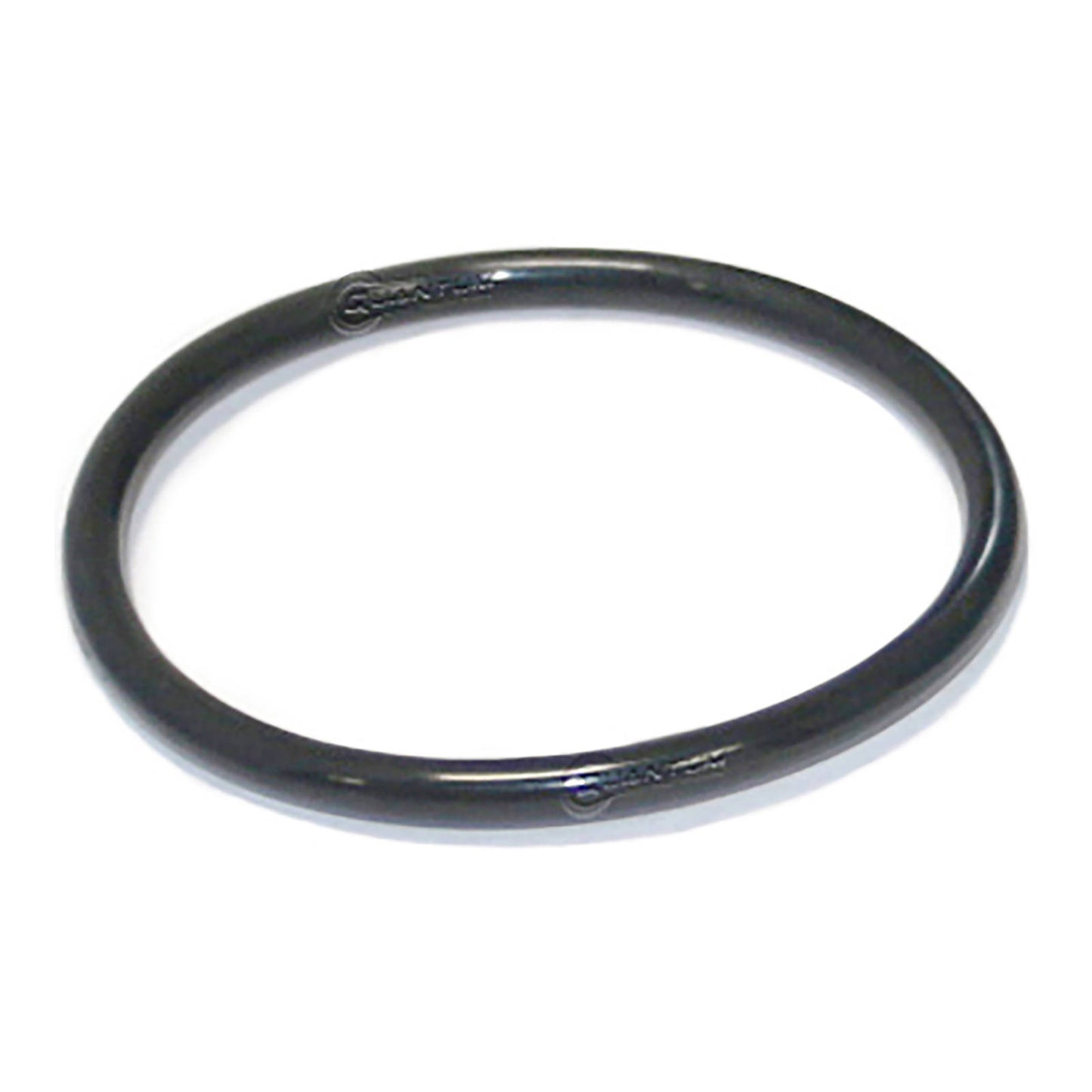 Quantum Fuel Pump Seal Gasket