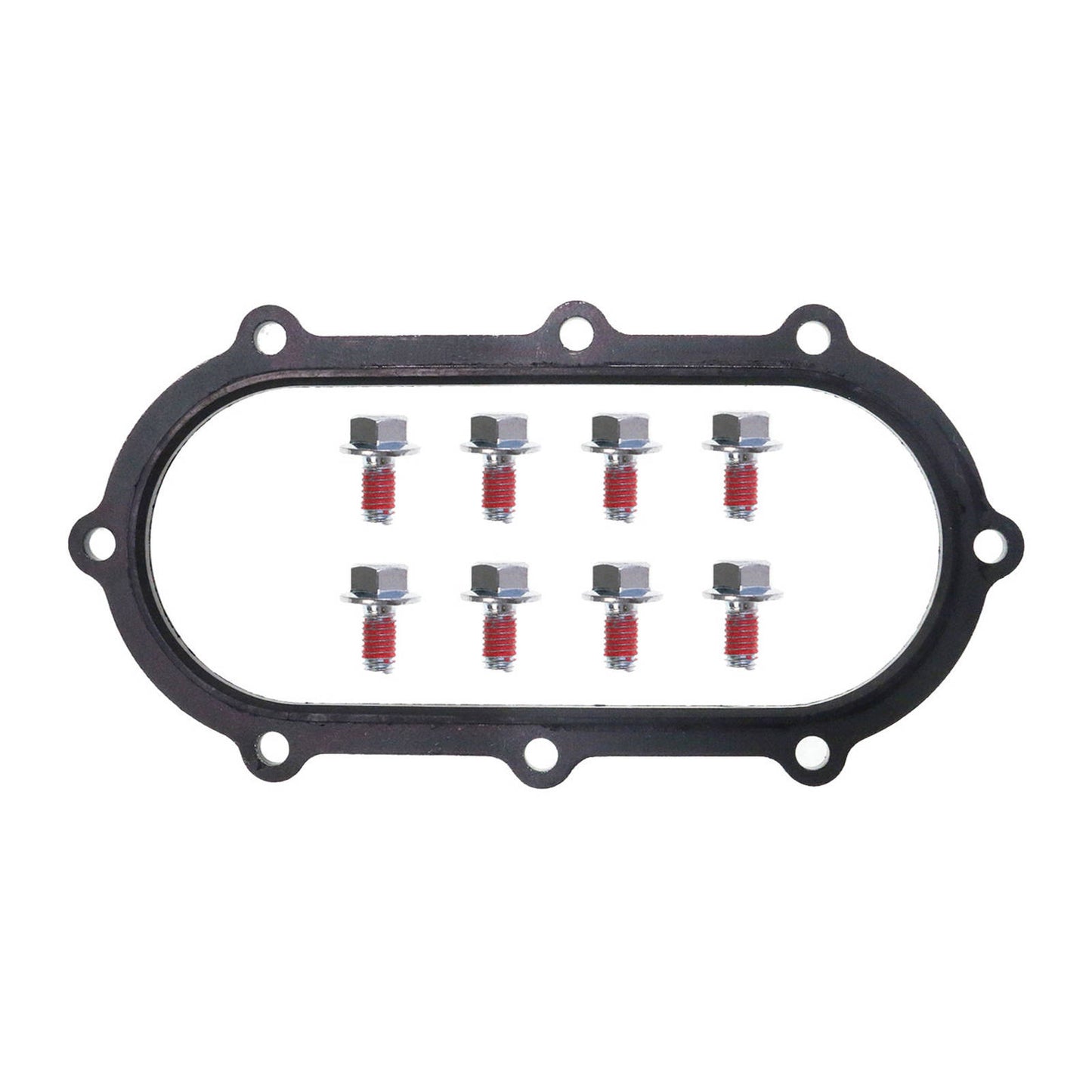 Quantum Fuel Pump Seal Gasket