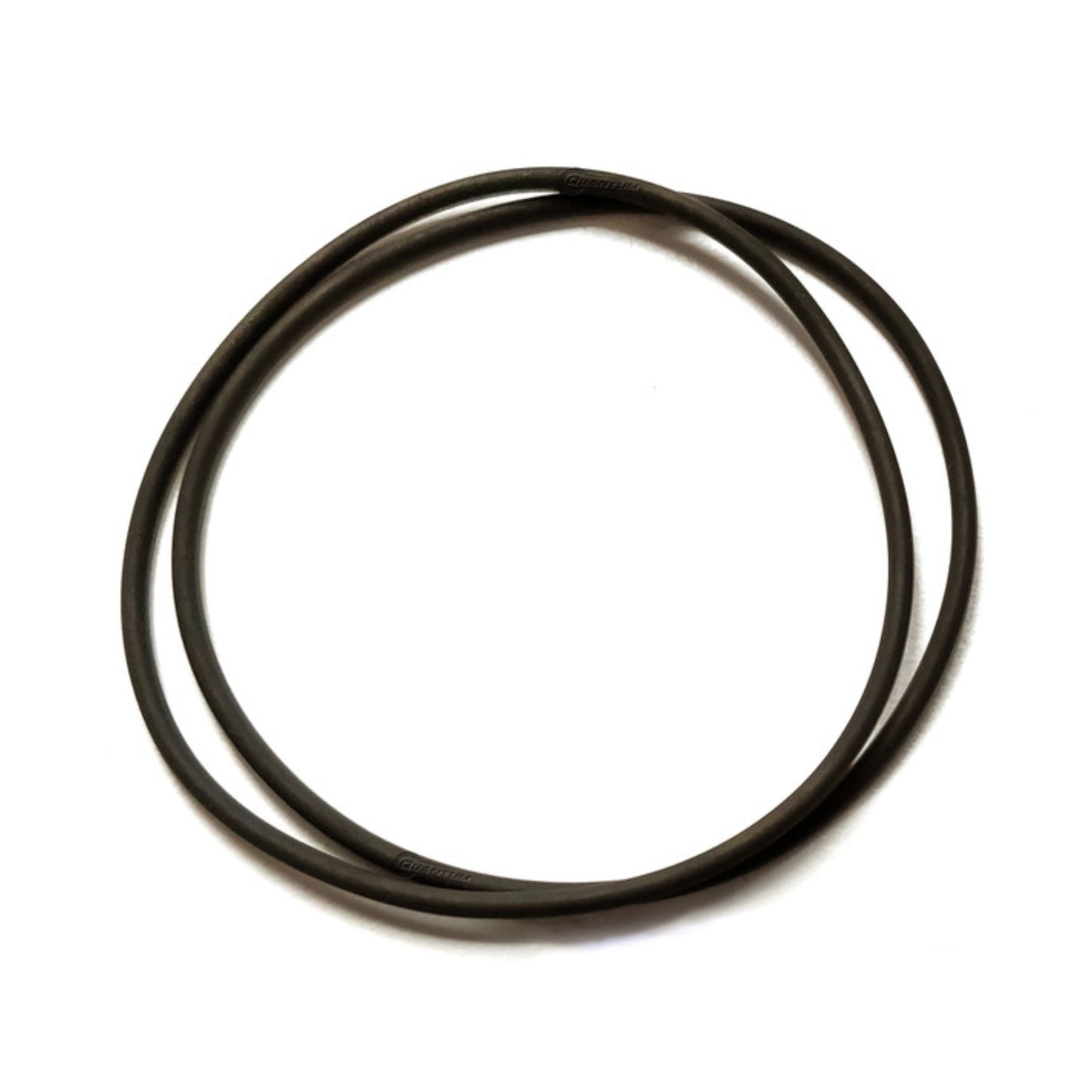 Quantum Fuel Pump Seal Gasket