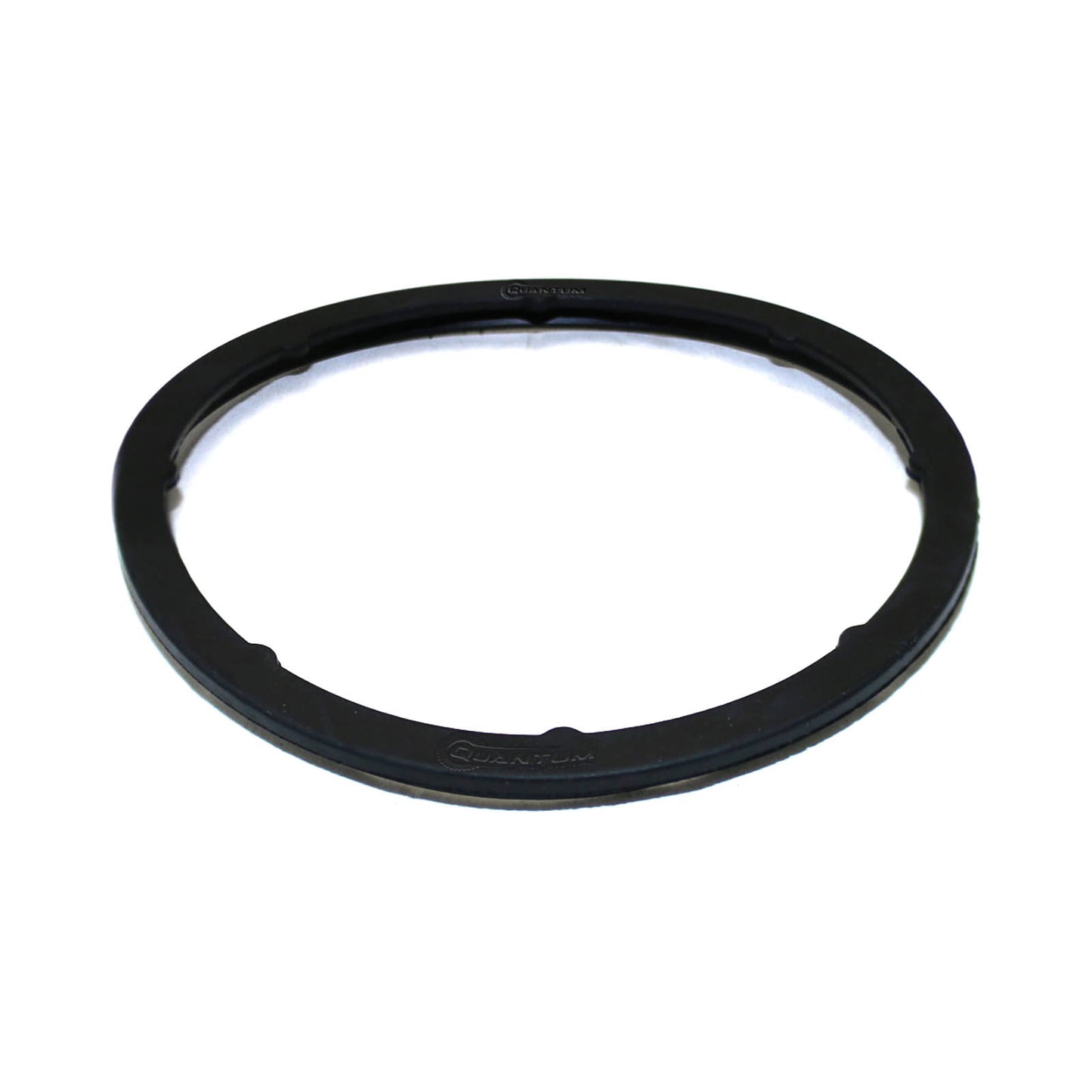 Quantum Fuel Pump Seal Gasket