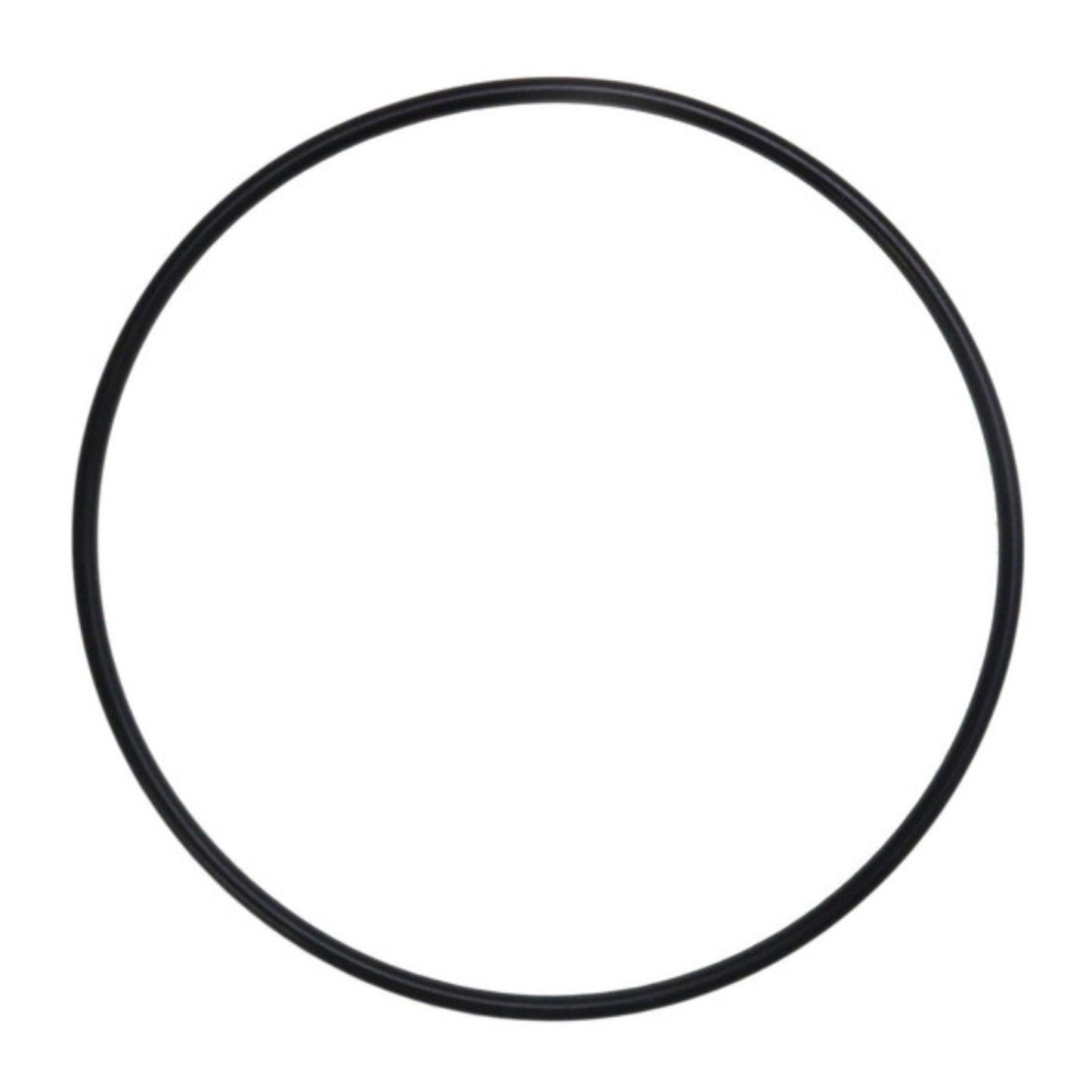 Quantum Fuel Pump Seal Gasket