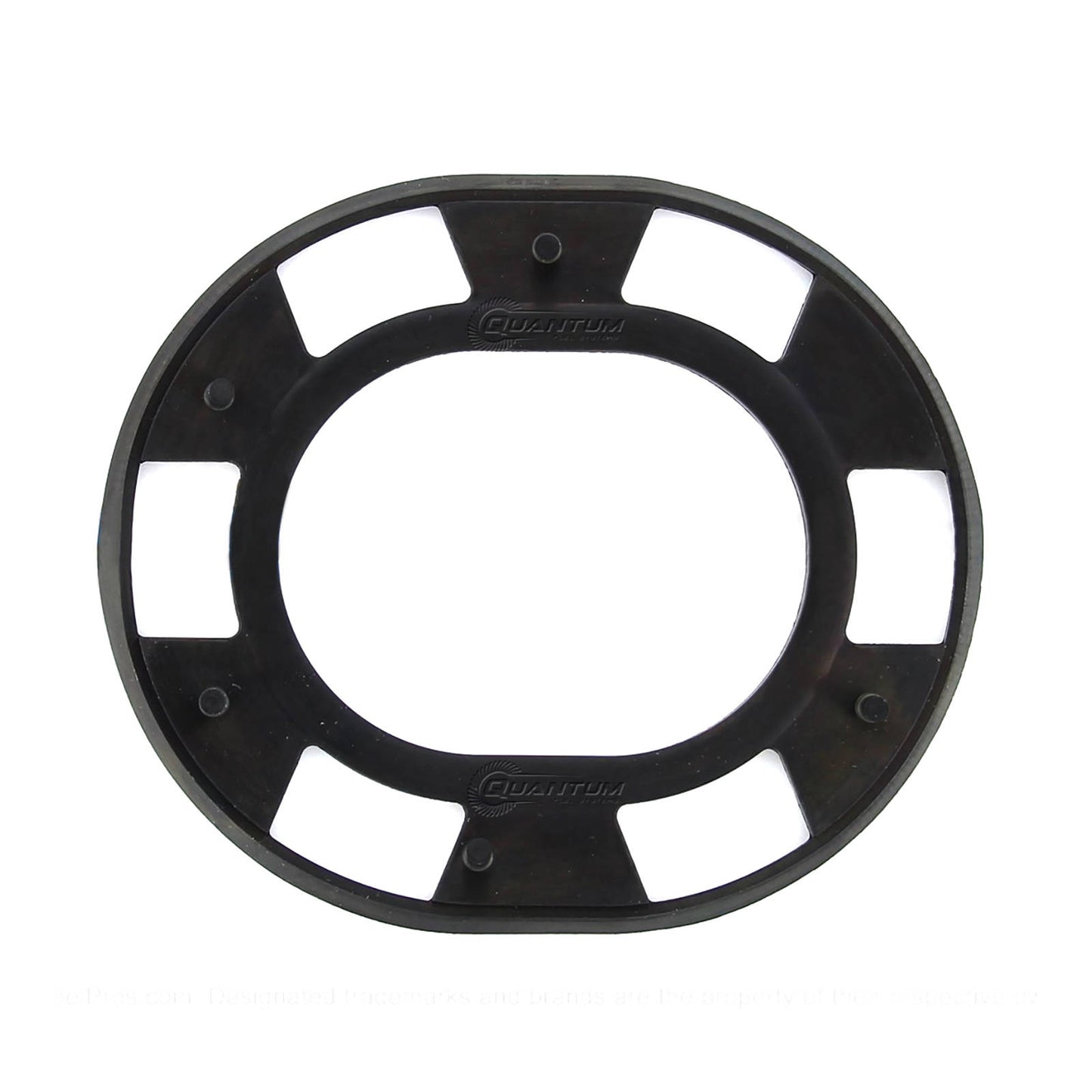 Quantum Fuel Pump Seal Gasket