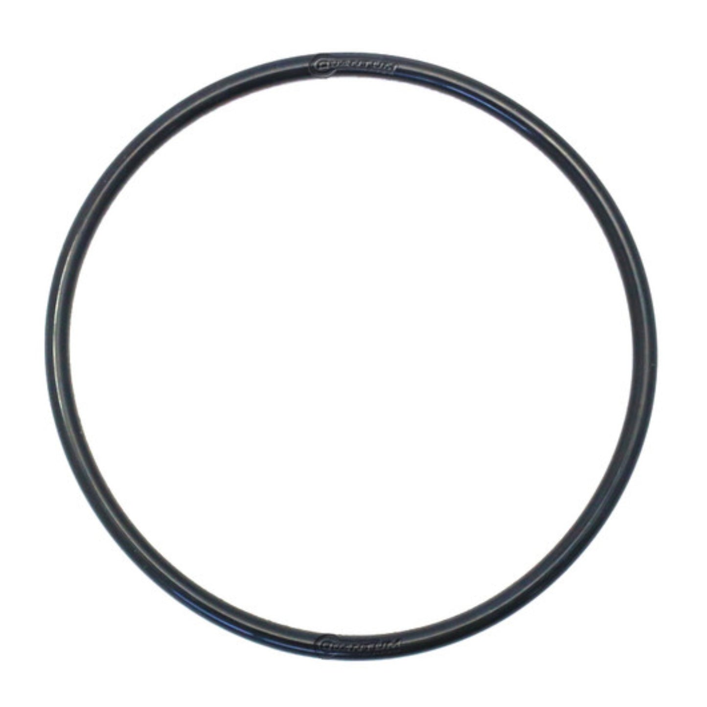 Quantum Fuel Pump Seal Gasket