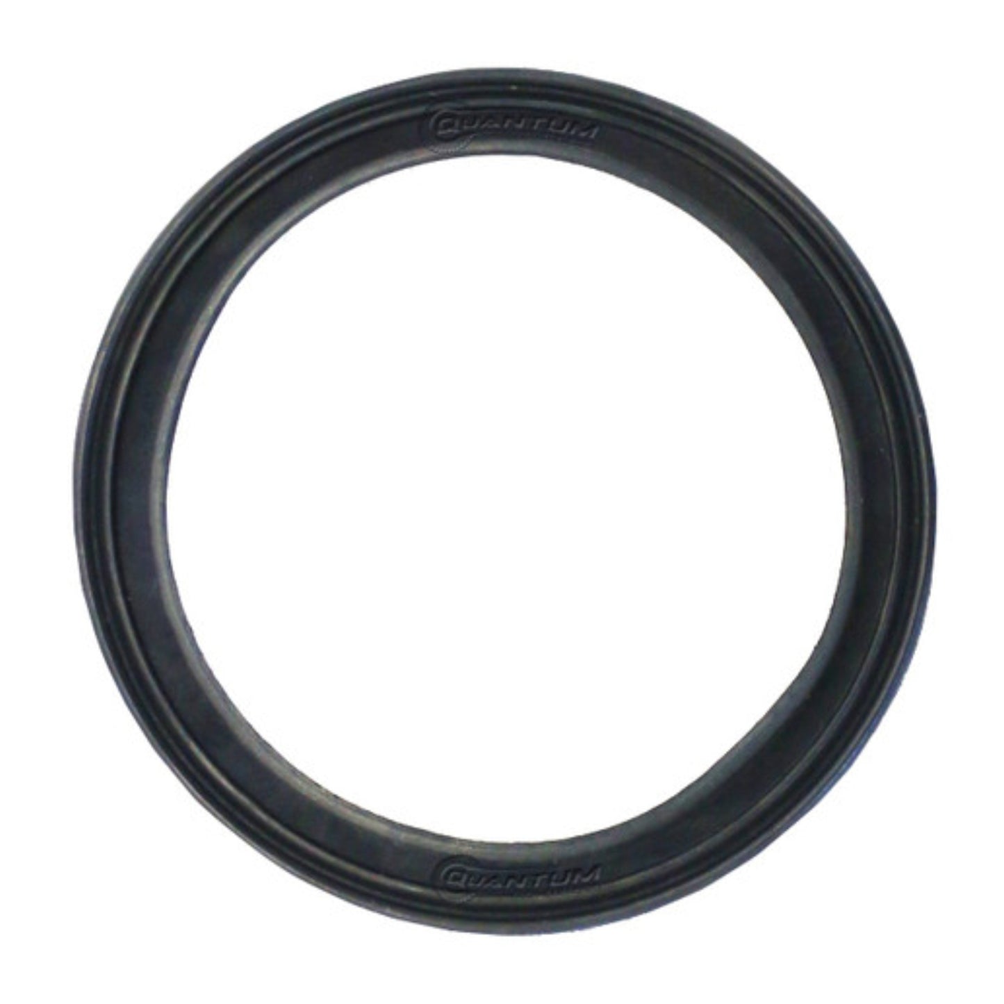 Quantum Fuel Pump Seal Gasket