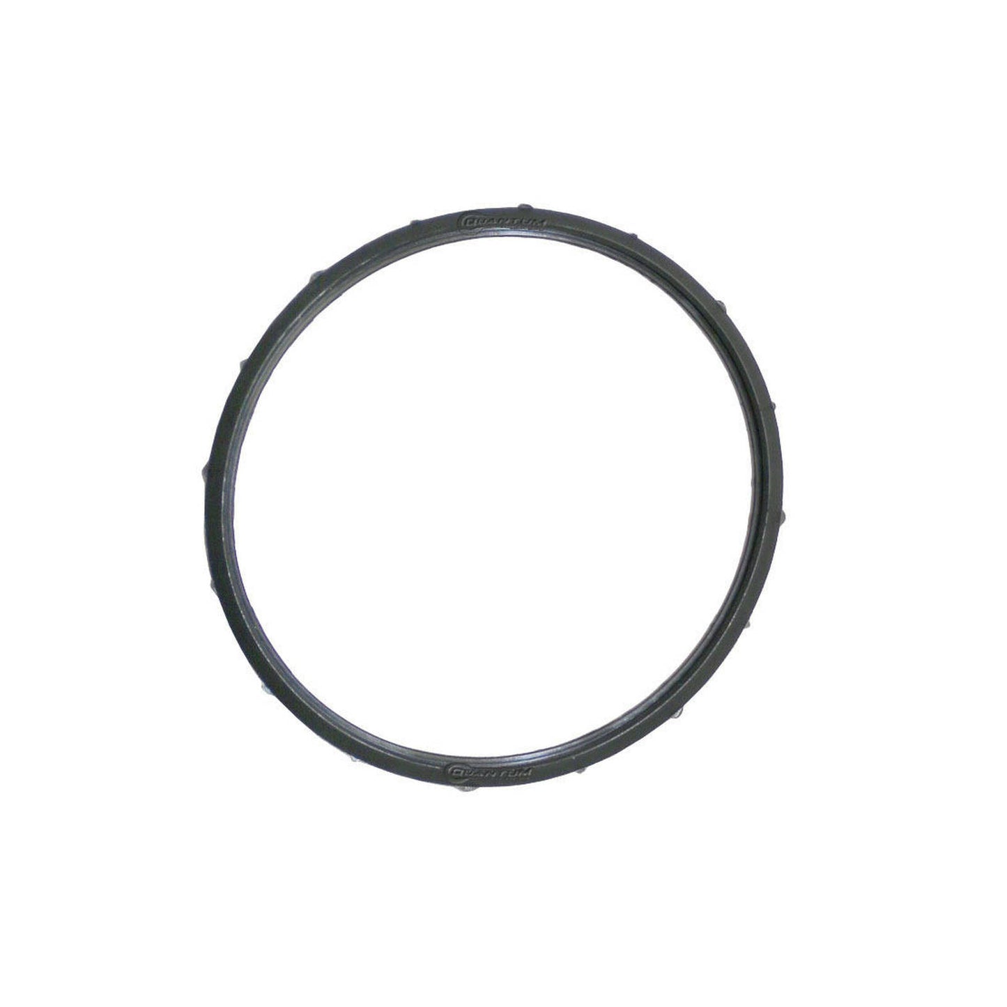 Quantum Fuel Pump Seal Gasket