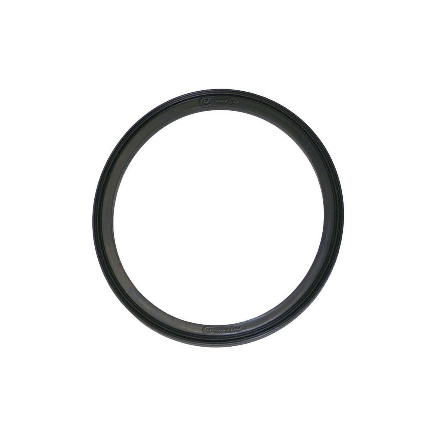 Quantum Fuel Pump Tank Seal Gasket