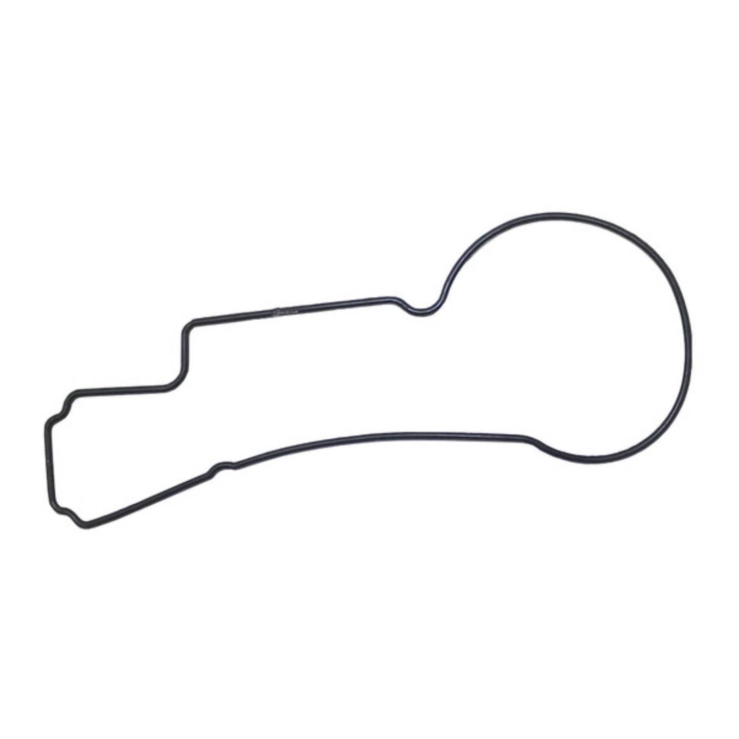 Quantum Fuel Pump Seal Gasket