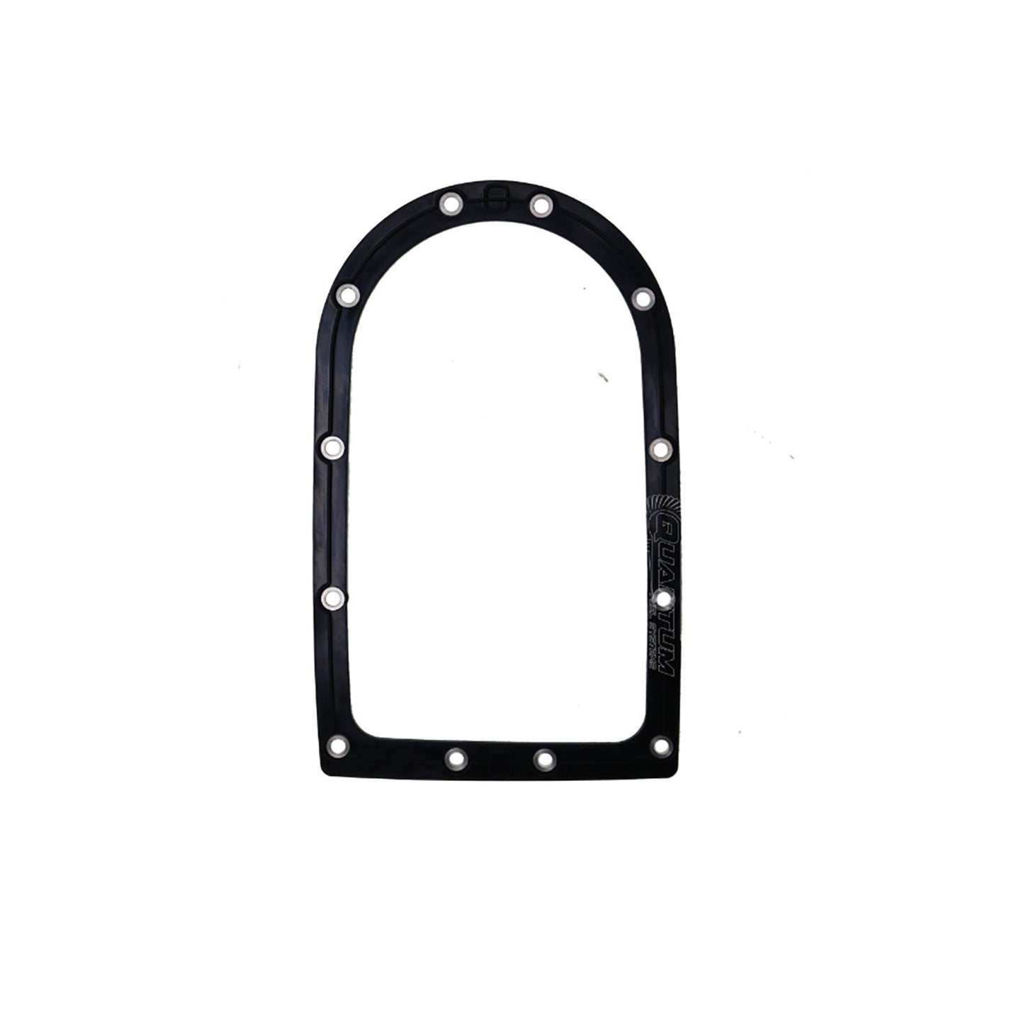Quantum Fuel Pump Seal Gasket