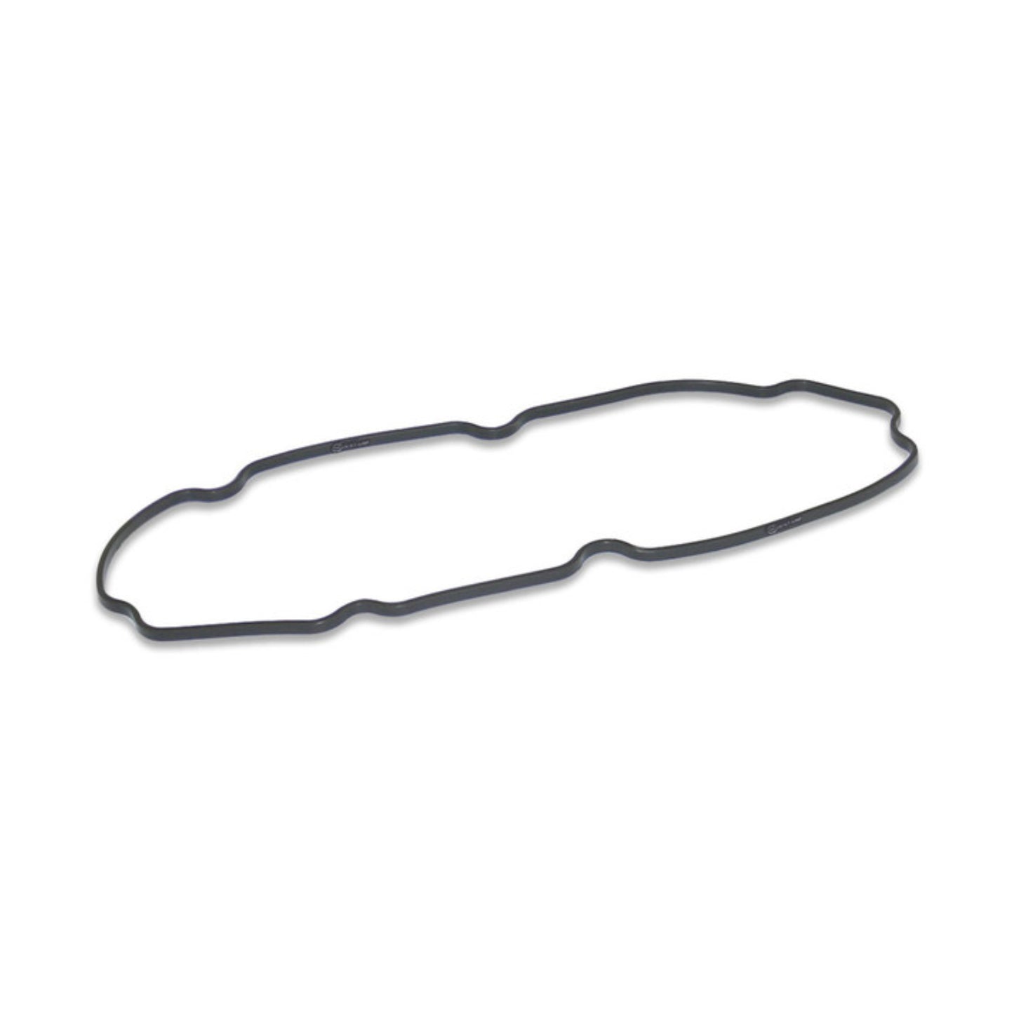 Quantum Fuel Pump Seal Gasket