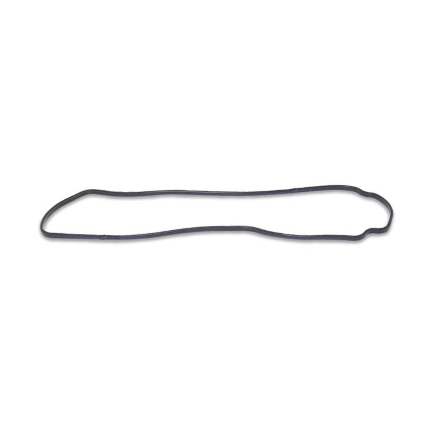 Quantum Fuel Pump Seal Gasket