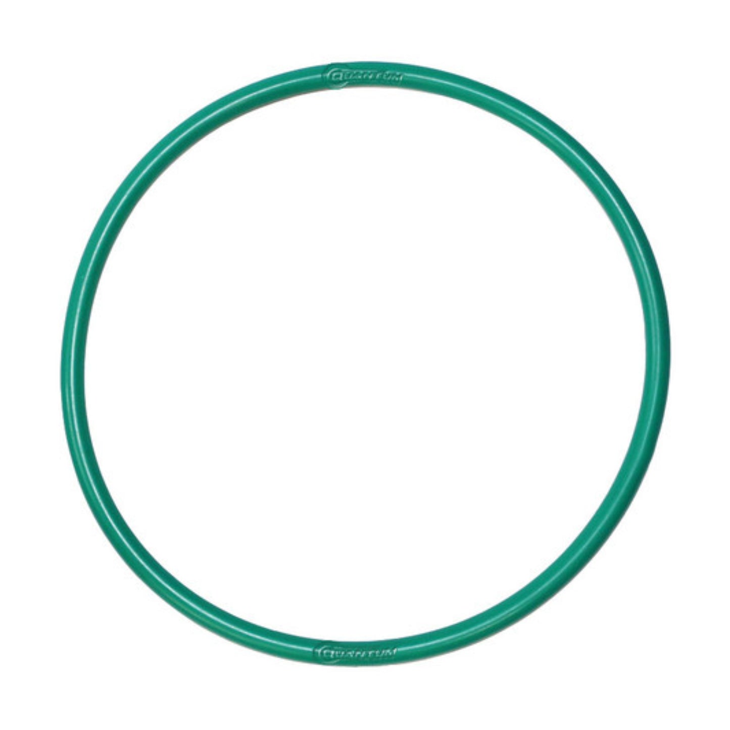 Quantum Fuel Pump Seal Gasket