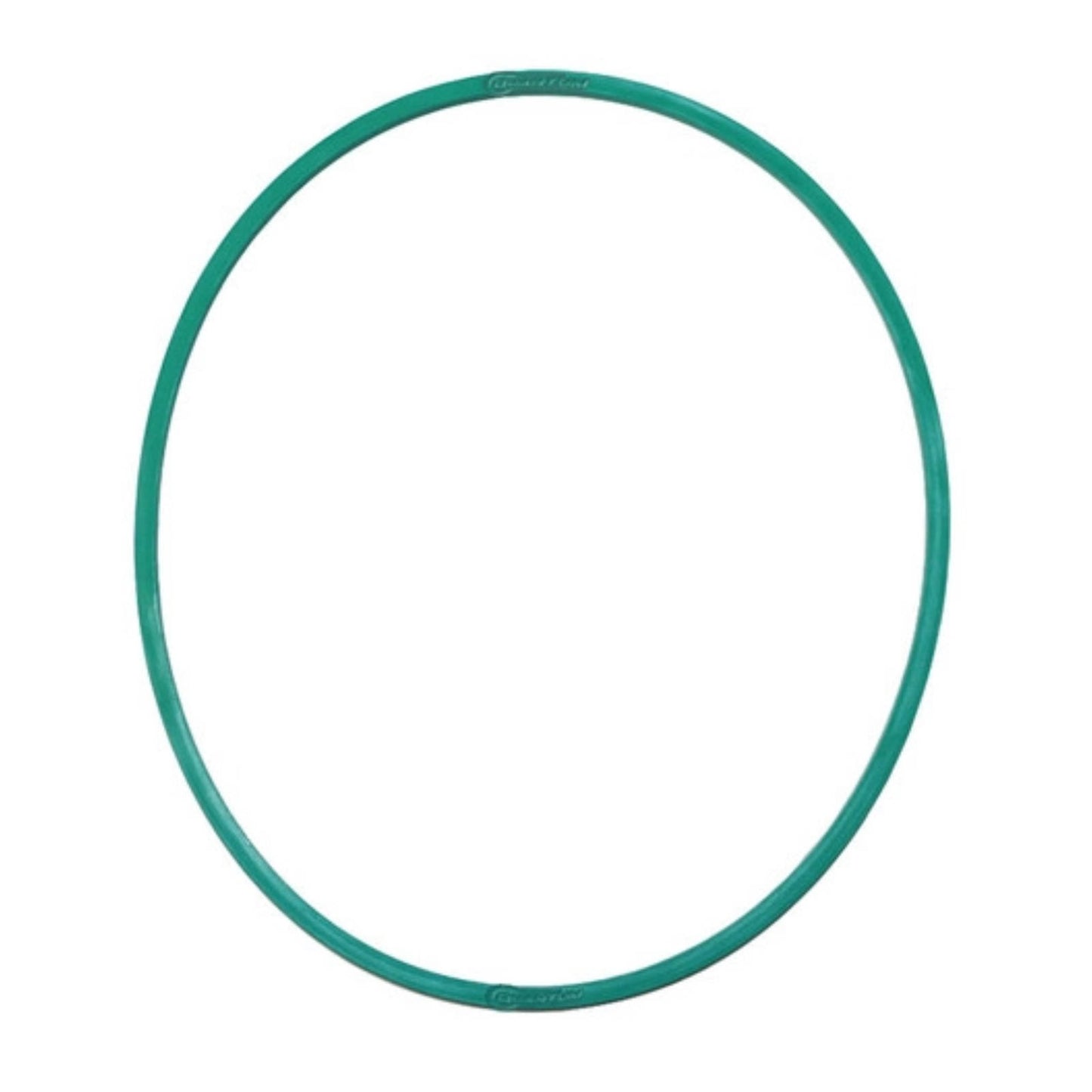 Quantum Fuel Pump Seal Gasket