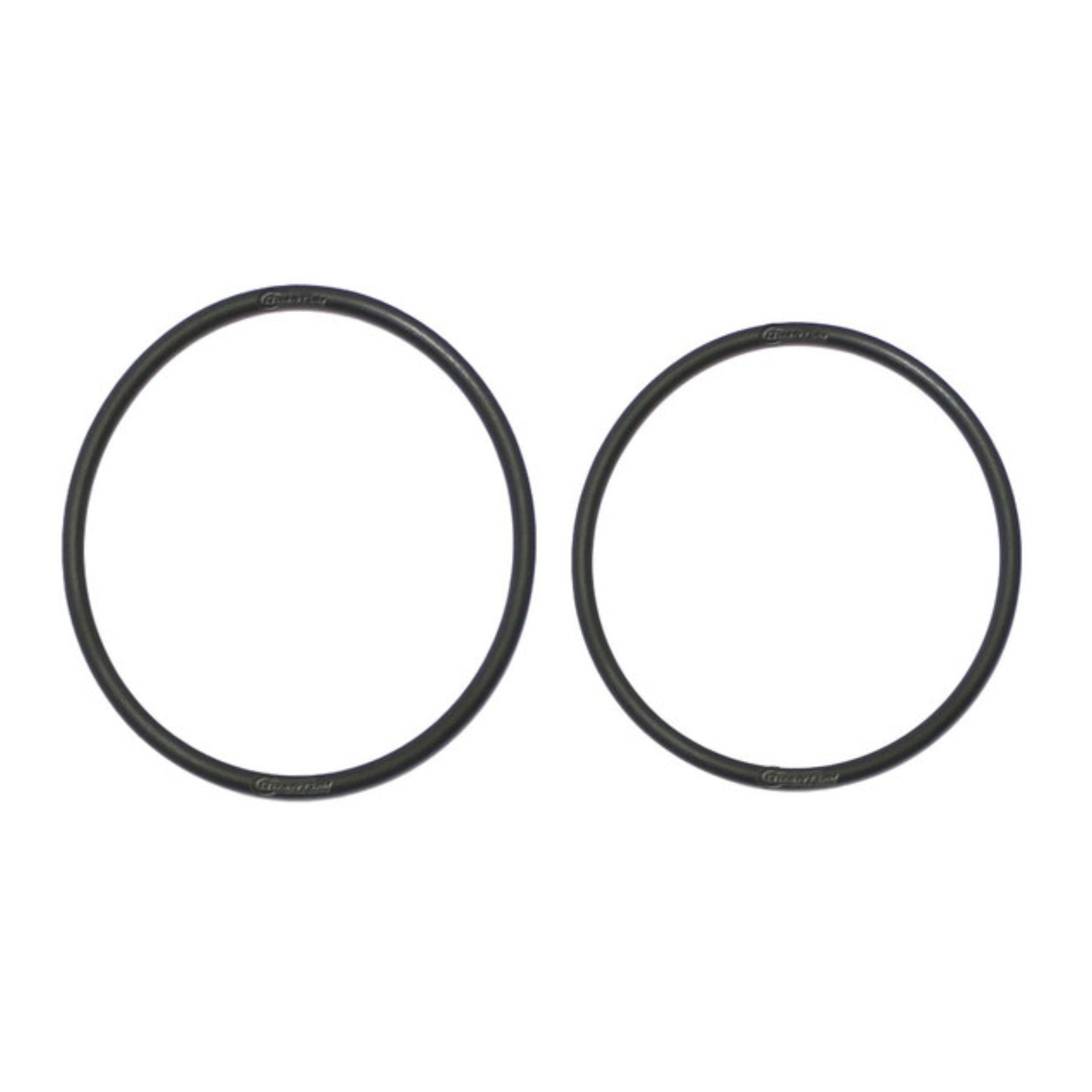 Quantum Fuel Pump Seal Gasket