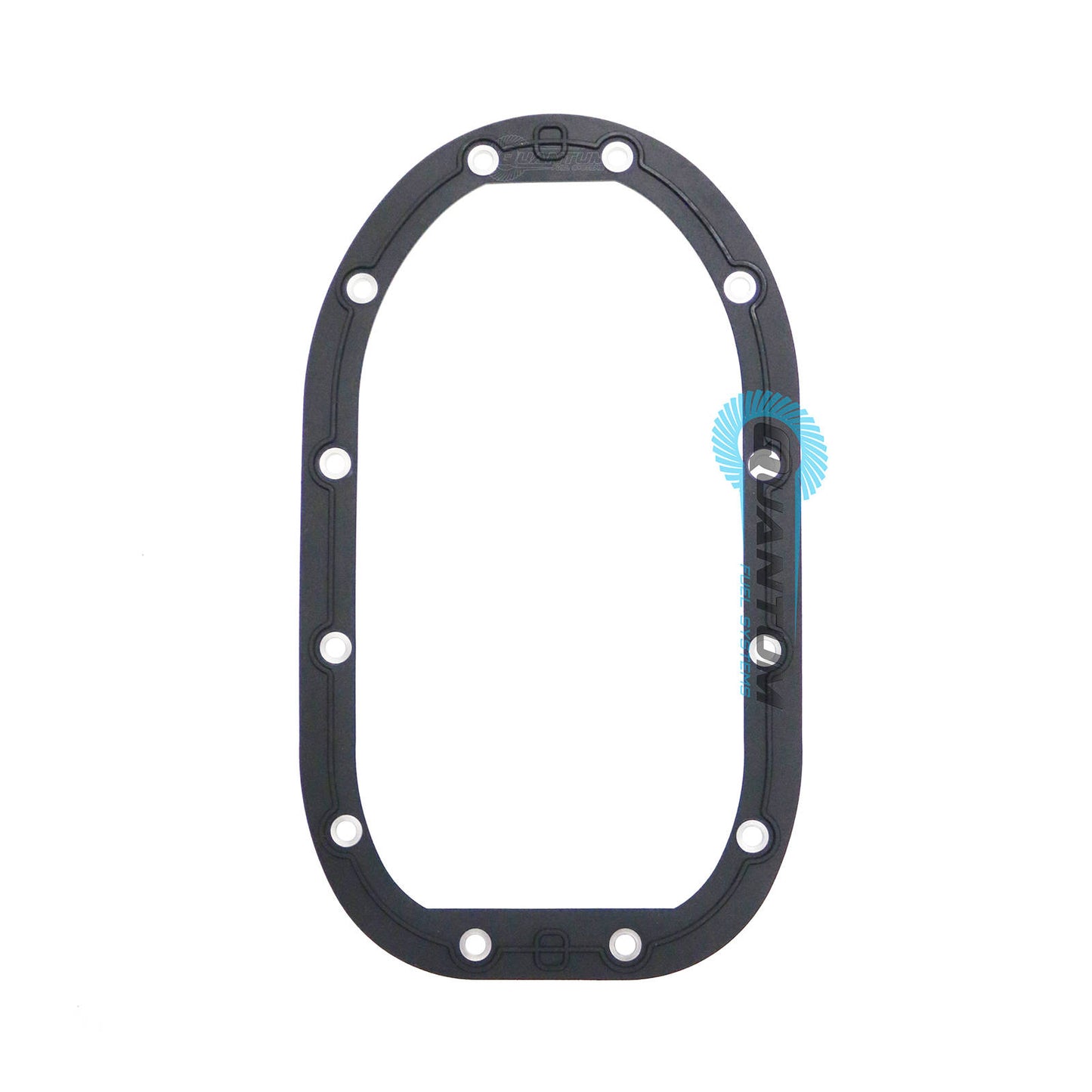 Quantum Fuel Pump Seal Gasket