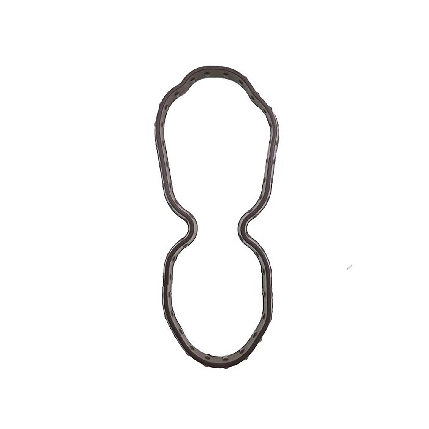 Quantum Fuel Pump Seal Gasket