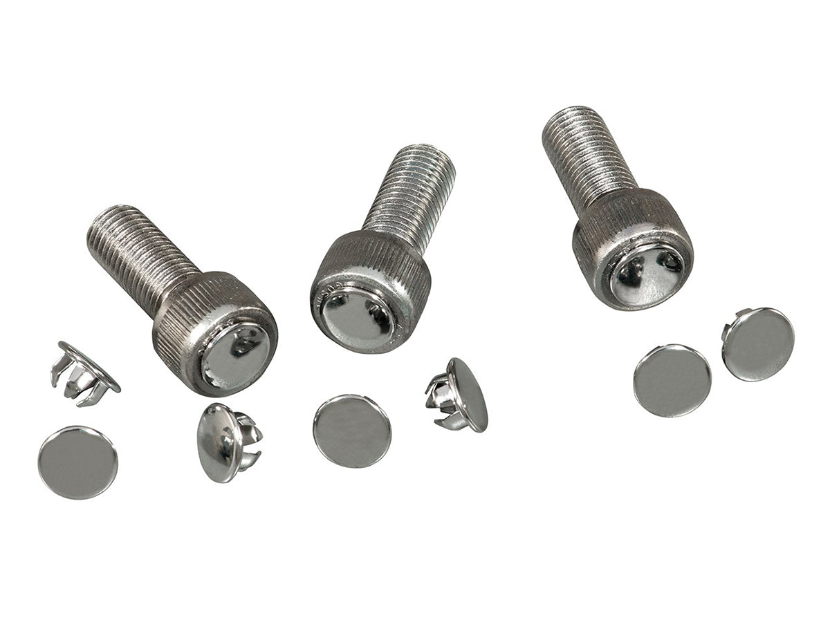 Chrome Allen Bolt Plugs