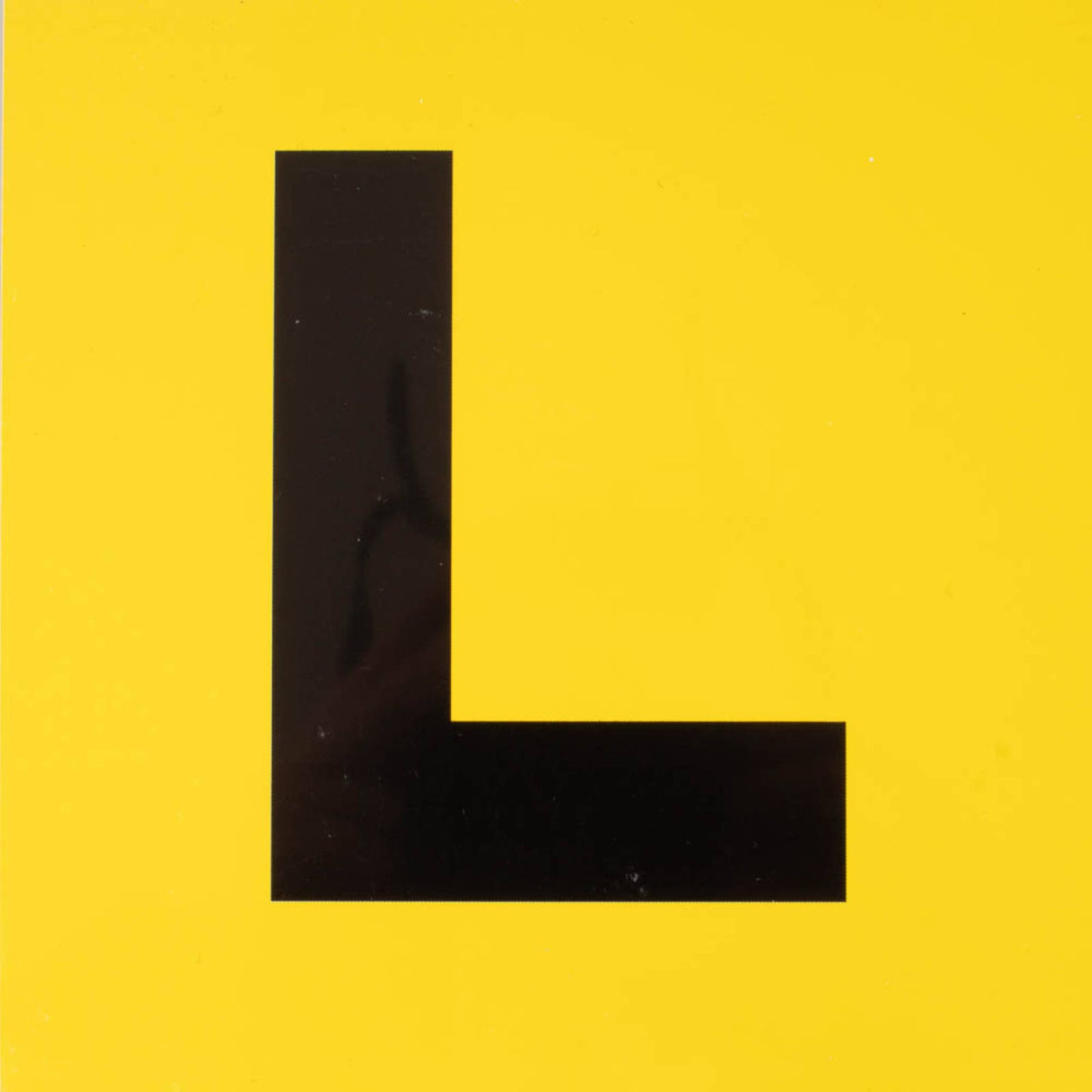 WHITES L - PLATE 1PC