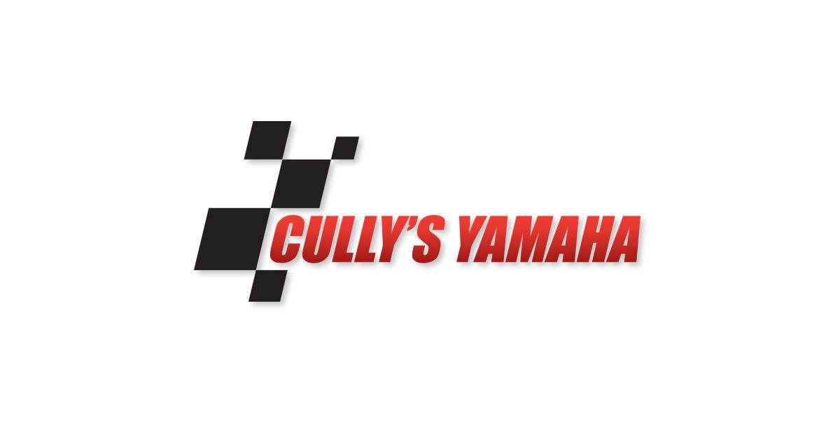 electrical system box – Cully's Yamaha