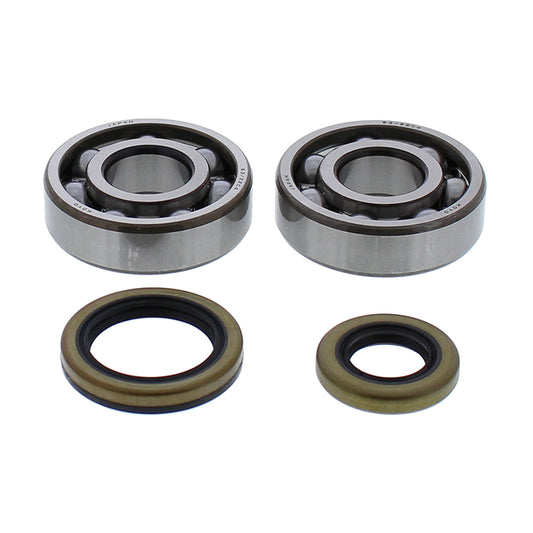 CRANK SHAFT BEARING KIT 24-1119