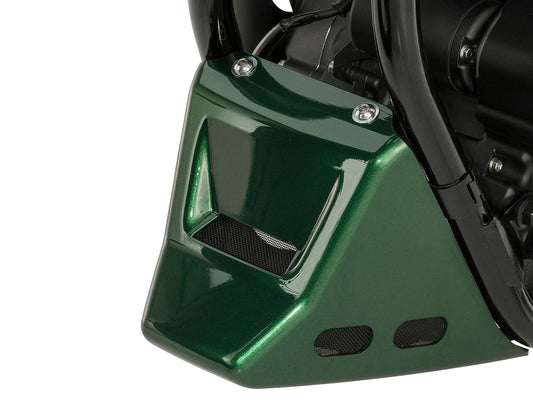 Lower Chin Fairing - Dark Green