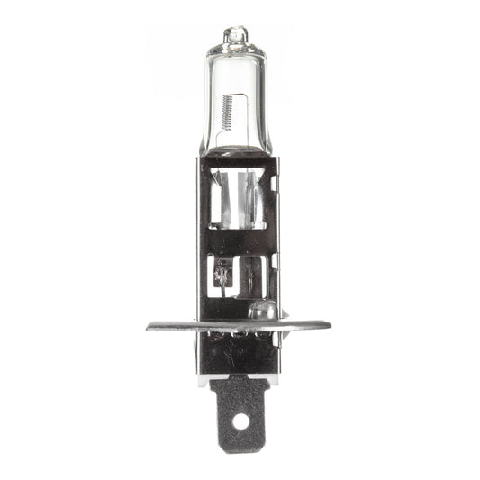 Globe 12V 55W H/L H1 Halogen (ea)