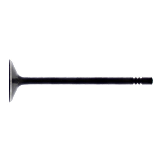 Hot Cams Valve Intake Steel
