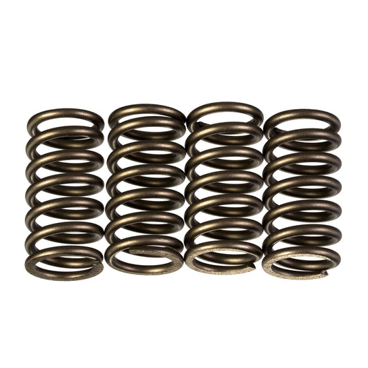 Premier Clutch Springs - Heavy Duty