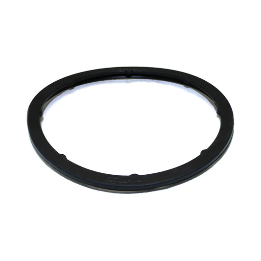 Quantum Fuel Pump Seal Gasket