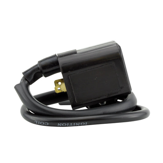 External Ignition Coil - Assorted Polaris Models