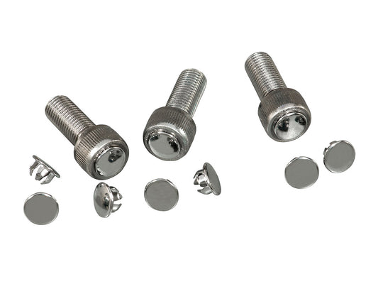 Chrome Allen Bolt Plugs